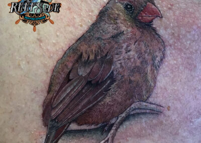 realistic bird tattoo